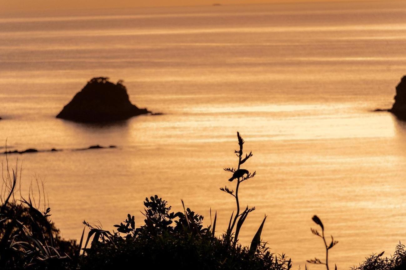 Ferienwohnung Cathedral Cove And Sunrise Hahei Exterior foto